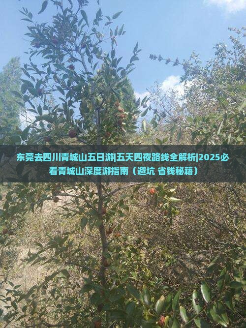 东莞去四川青城山五日游