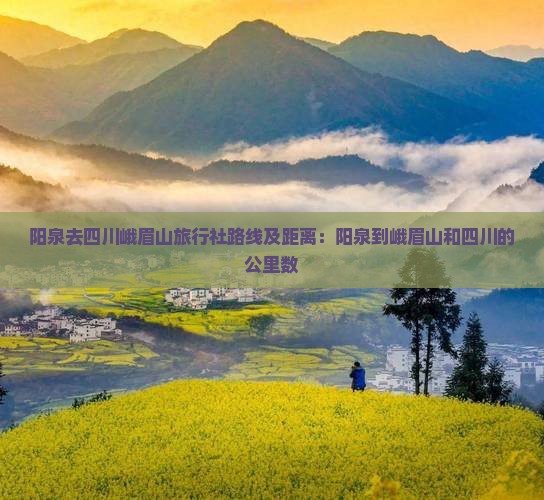 阳泉去四川峨眉山旅行社