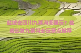 盐城去四川九寨沟哪里玩