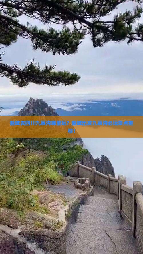 盐城去四川九寨沟哪里玩