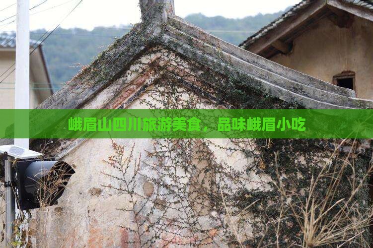 兰州到四川峨眉山旅游小吃