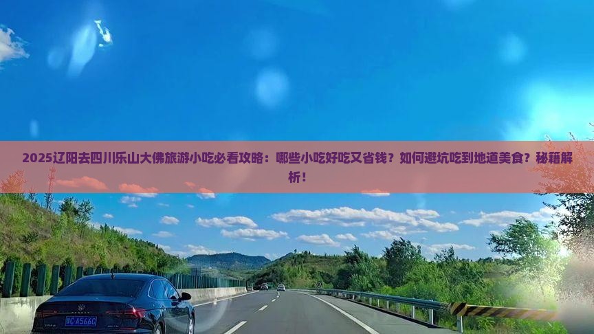 辽阳去四川乐山大佛旅游小吃