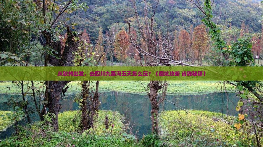 钦州到四川九寨沟五日游