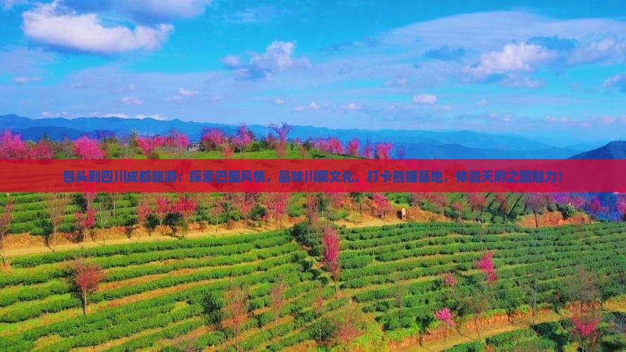 包头到四川成都旅游