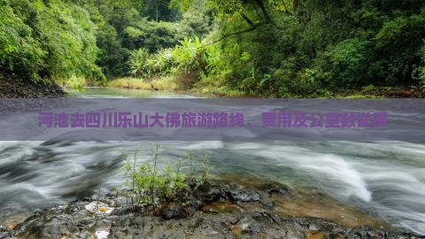 河池去四川乐山大佛旅游