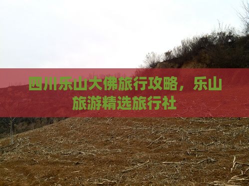 四月去四川乐山大佛旅行社