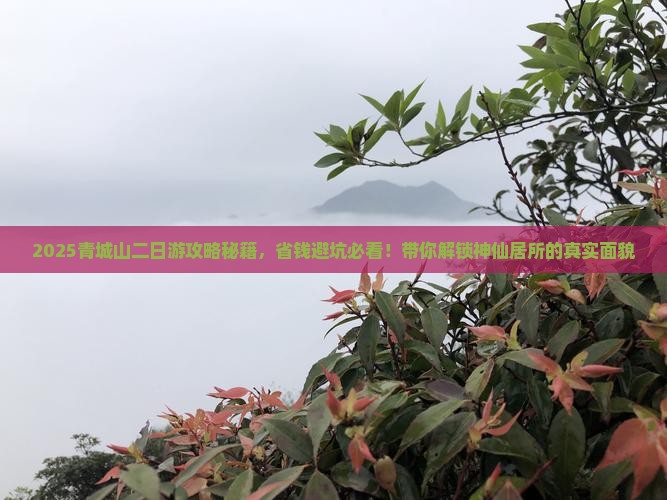 一月到四川青城山二日游