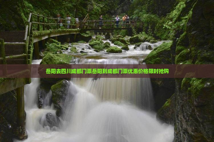 岳阳去四川成都门票