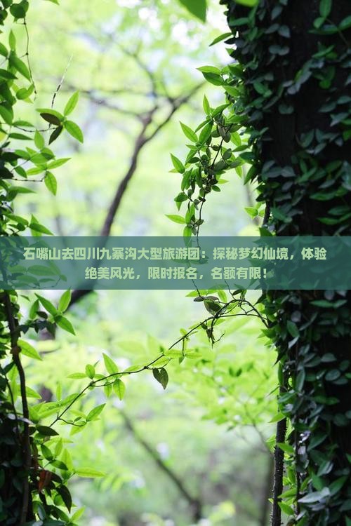 石嘴山去四川九寨沟大型旅游团