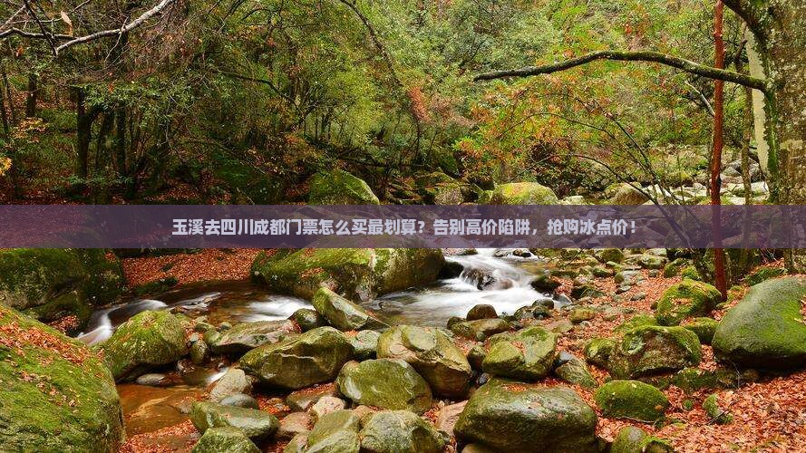 玉溪去四川成都门票