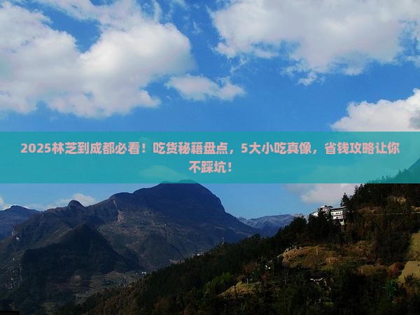 林芝到四川成都旅游小吃