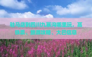 驻马店到四川九寨沟哪里玩