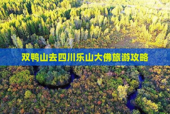 双鸭山去四川乐山大佛自由行