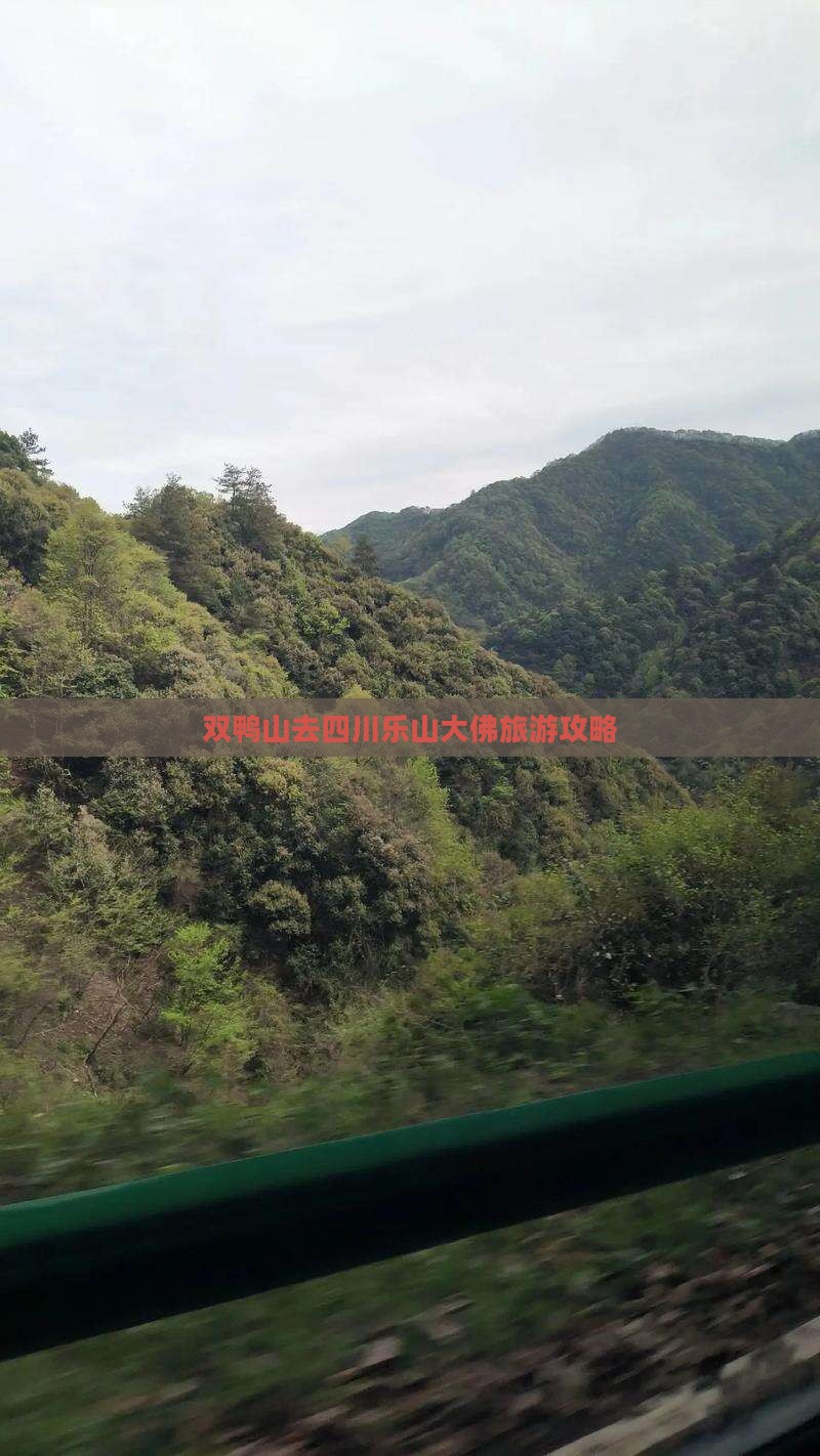 双鸭山去四川乐山大佛自由行