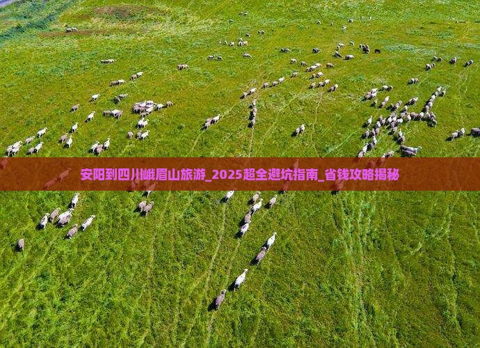 安阳到四川峨眉山旅游