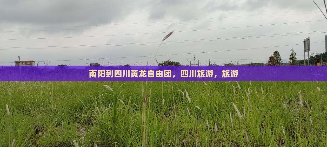 南阳到四川黄龙自由团