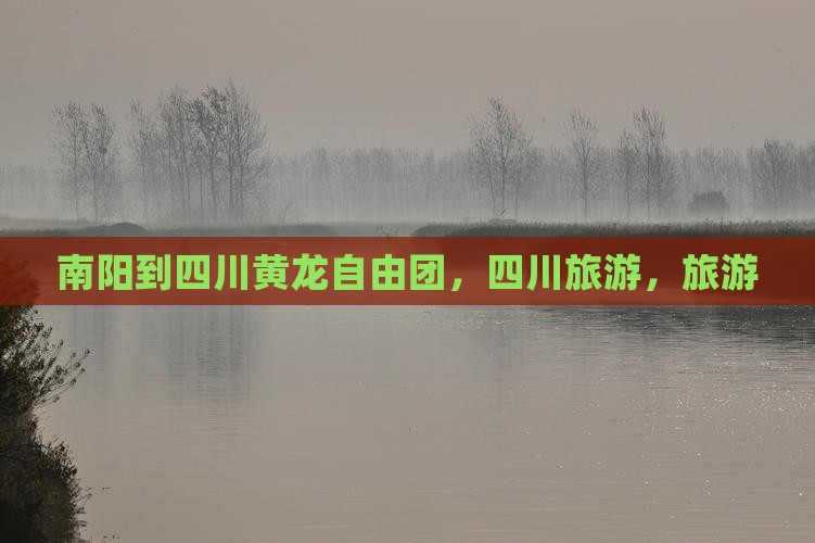 南阳到四川黄龙自由团