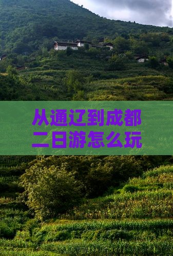 通辽市去四川成都二日游