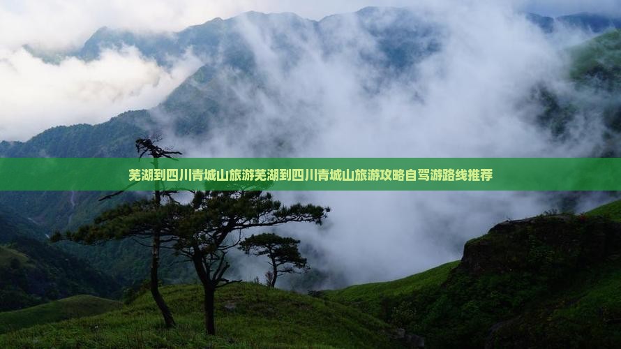 芜湖到四川青城山旅游