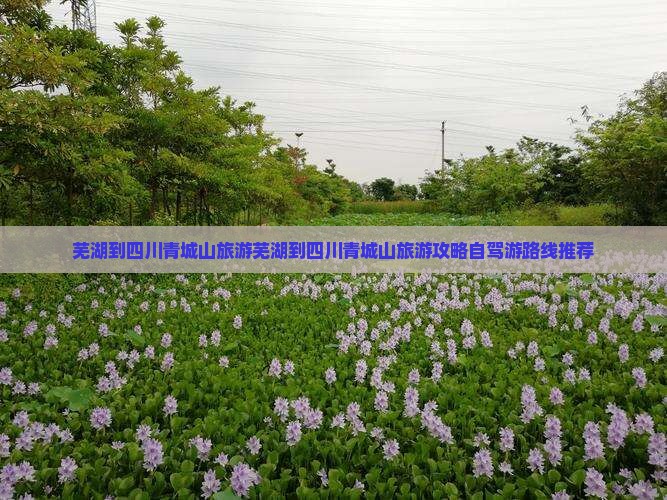 芜湖到四川青城山旅游