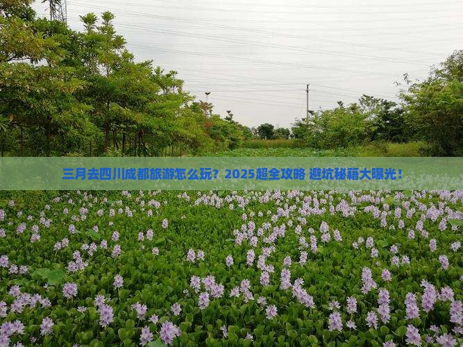 三月去四川成都大型旅游团
