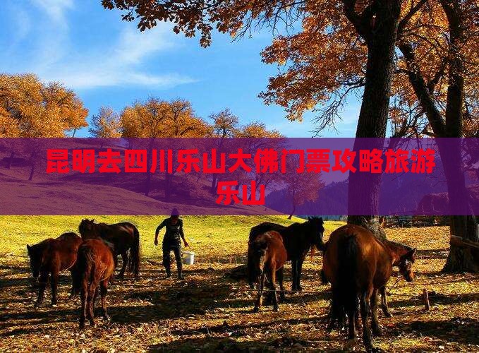 昆明去四川乐山大佛门票