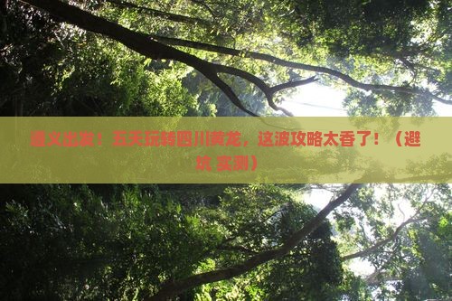 遵义到四川黄龙五日游