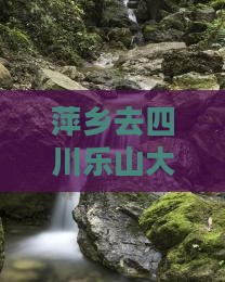 萍乡去四川乐山大佛景点