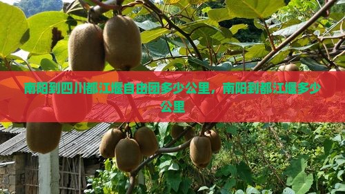 南阳到四川都江堰自由团