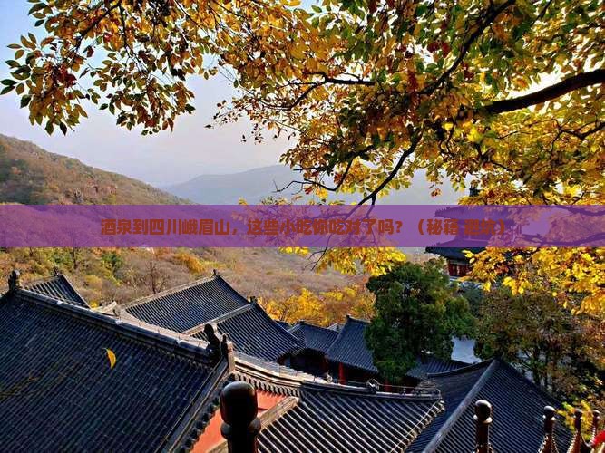 酒泉到四川峨眉山旅游小吃