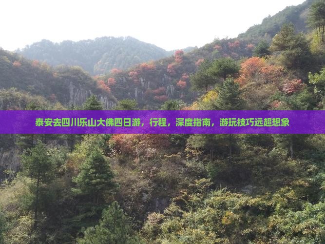 泰安去四川乐山大佛四日游