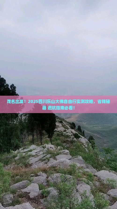 茂名去四川乐山大佛自由团