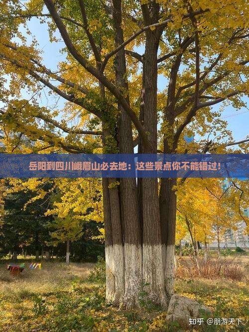 岳阳到四川峨眉山必去地