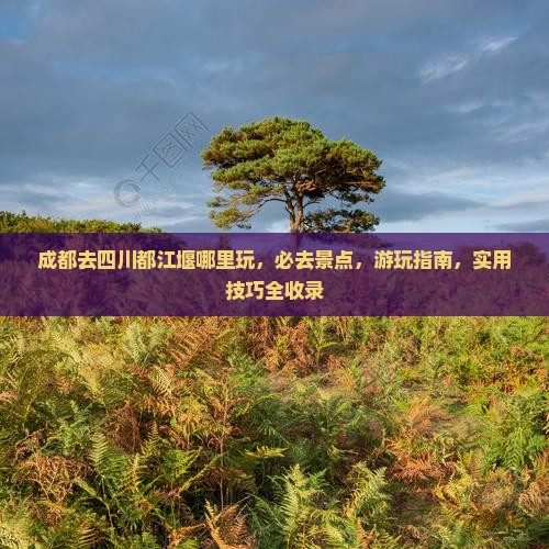 成都去四川都江堰哪里玩