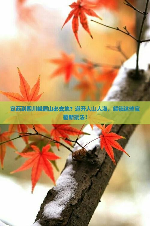 定西到四川峨眉山必去地
