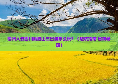 宿州去四川峨眉山三日游