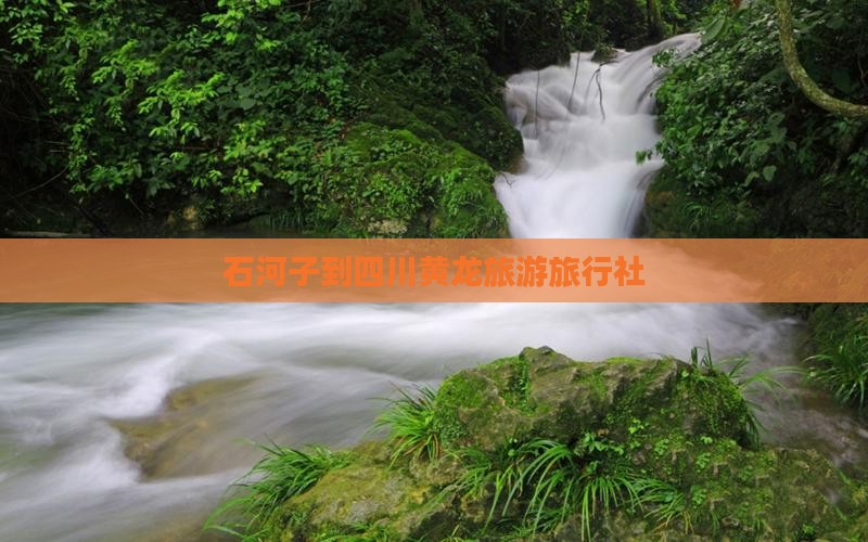 石河子到四川黄龙旅行社