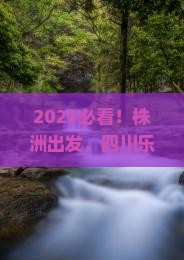 株洲到四川乐山大佛团体旅游