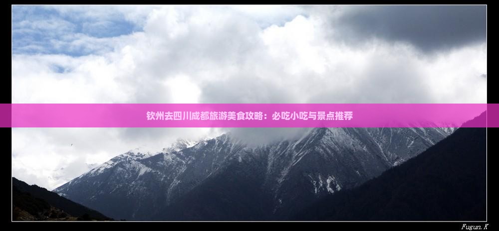 钦州去四川成都旅游小吃