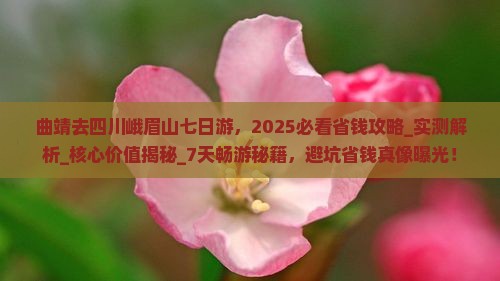 曲靖去四川峨眉山七日游