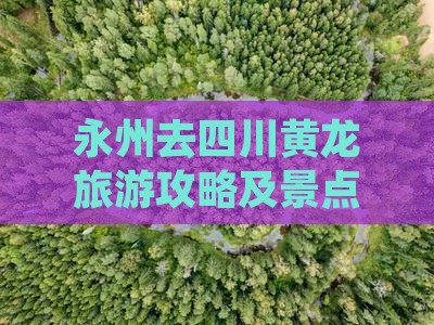 永州去四川黄龙个人游