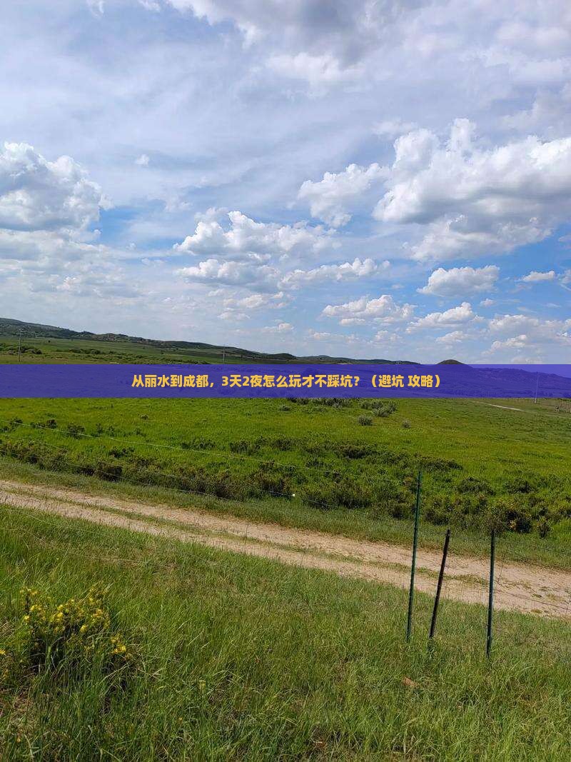 丽水到四川成都个人游