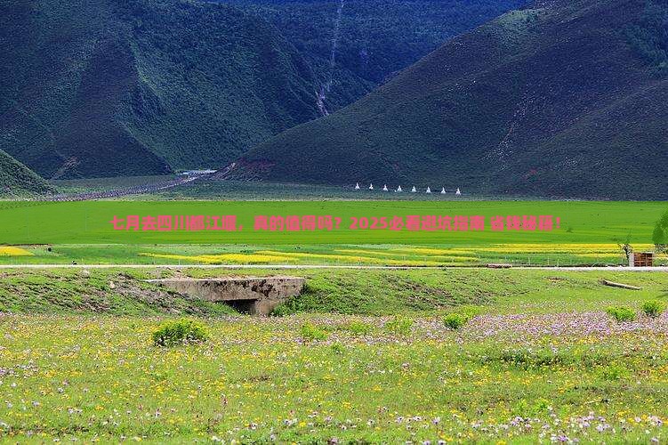 七月到四川都江堰旅游