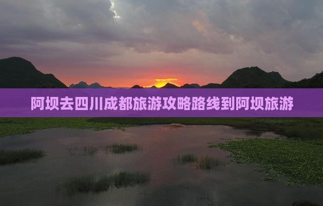 阿坝去四川成都旅游