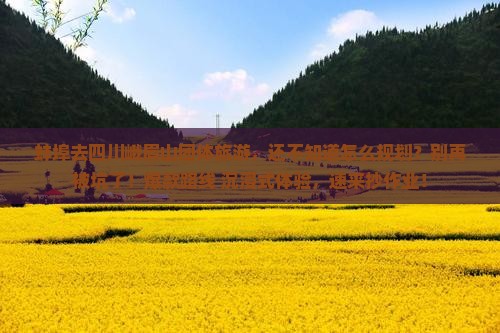 蚌埠去四川峨眉山团体旅游