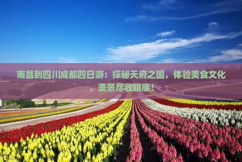 南昌到四川成都四日游