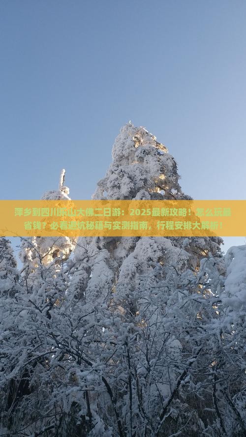 萍乡到四川乐山大佛二日游