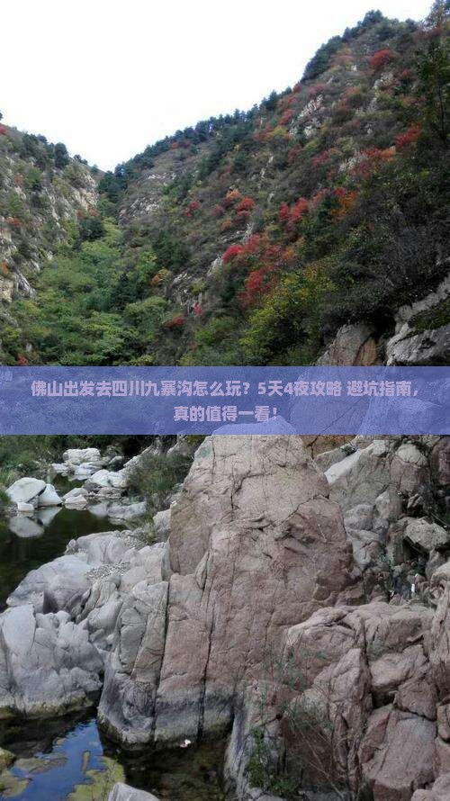 佛山去四川九寨沟旅行社