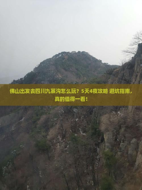 佛山去四川九寨沟旅行社