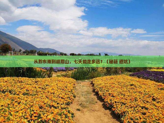 黔东南到四川峨眉山七日游